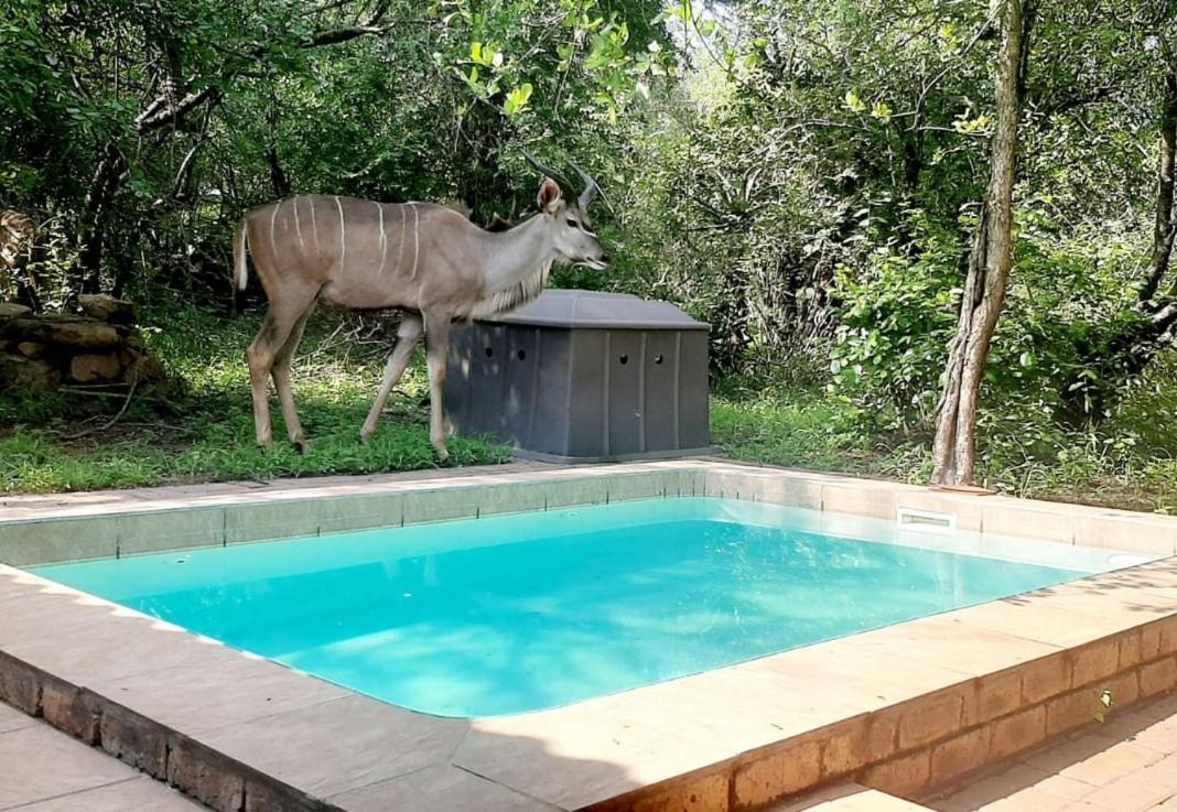 Nature House Marloth Park Extérieur photo